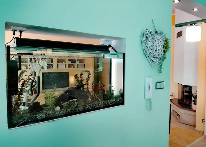 Frank Apartment *
