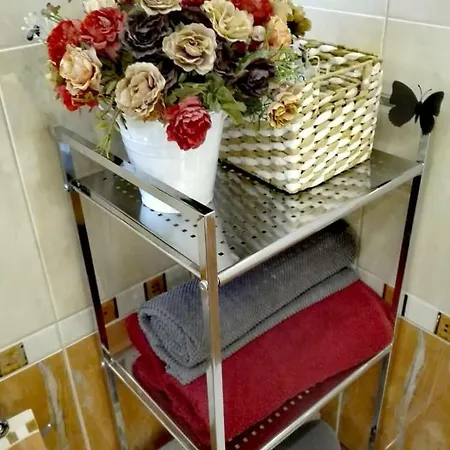 Frank Apartament Mariańskie Łaźnie