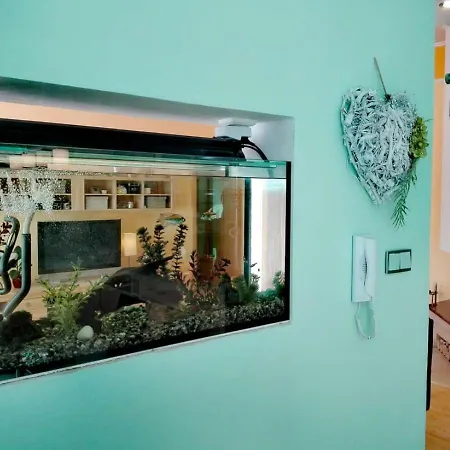 Frank Apartment *